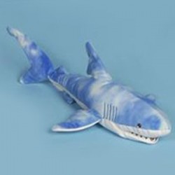Sunny Blue Shark