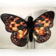 Sunny Painted Lady Butterfly Puppet