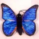 Sunny Menelaus Blue Morpho Butterfly Puppet