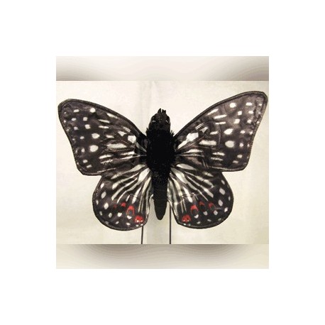 Sunny Checkerspot Butterfly Puppet