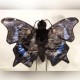 Sunny Mourning Cloak Butterfly Puppet