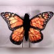 Sunny Monarch Butterfly Puppet