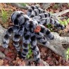 Sunny Tarantula Hand Puppet