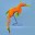 Sunny Seadragon