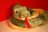 Giant Anaconda Snake