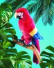 Folkmanis Scarlet Macaw