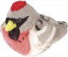 Audubon Holiday Redpoll