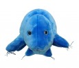 Gigantic Water Bear