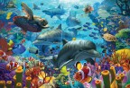 Coral Sea Puzzle