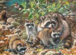 Raccoon Family - Family Puzzle