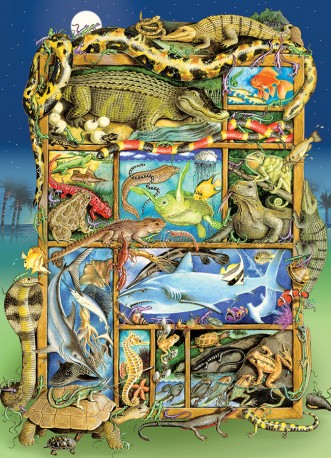 Reptiles & Amphibians Family Puzzle