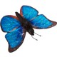 Blue Morpho Butterfly Puppet (Large)