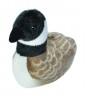 Audubon Birds Canada Goose