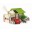 Eco Friendly Chalet Building Set