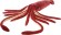 Wild Republic Squid
