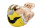 Audubon Birds Western Meadowlark