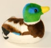 Audubon Birds Mallard Duck