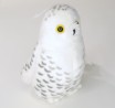 Audubon Birds Snowy Owl