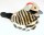 Audubon Birds Original Flicker