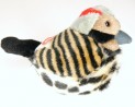 Audubon Birds Original Flicker