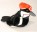 Audubon Birds Pileated Woodpecker