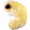 Bookworm Plush