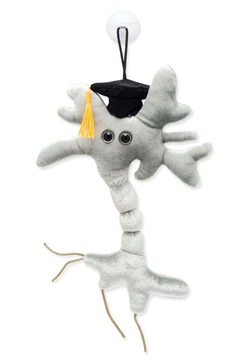 Brain Cell Plush - Crow's Castle